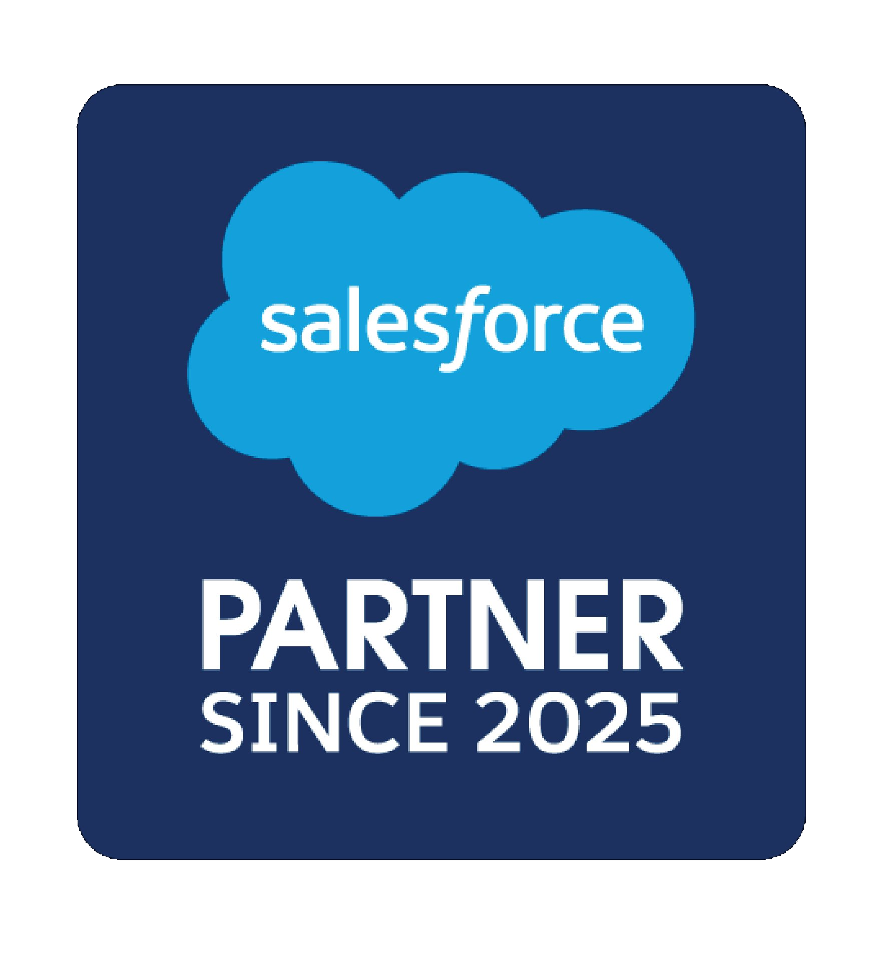 Salesforce Partner Since 2025